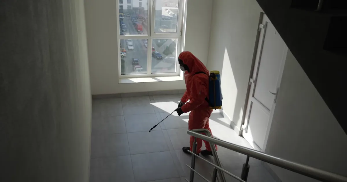 Tratamiento de carcoma en Rubí — EcoPest