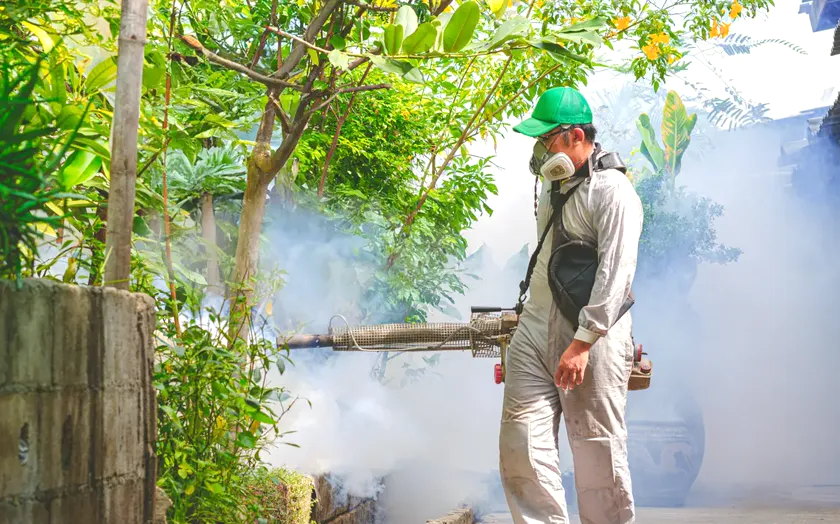 Tratamiento de mosquito tigre en Rubí — EcoPest