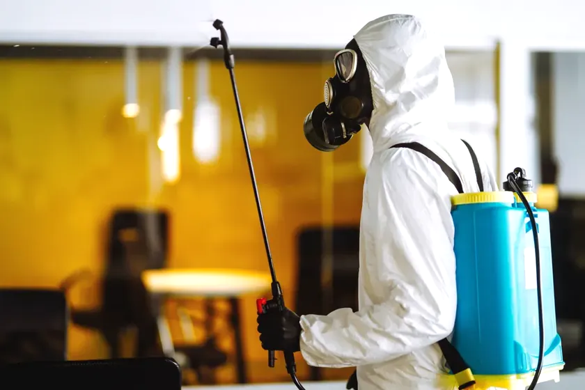 Control de plagas para oficinas en Rubí — EcoPest